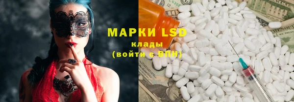 индика Заволжск