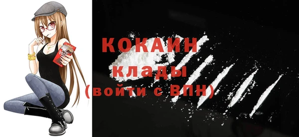 индика Заволжск