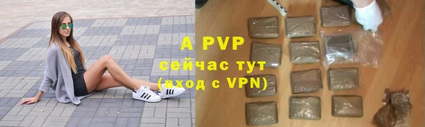 индика Заволжск