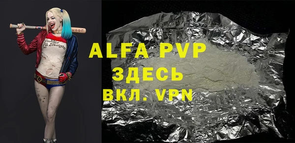 индика Заволжск