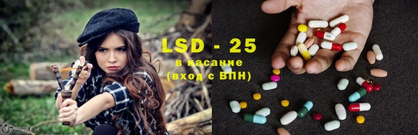 индика Заволжск