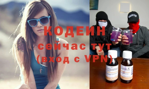 соль ск Заводоуковск
