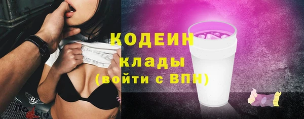 индика Заволжск