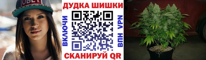Купить закладки  Жиздра  Конопля VHQ 